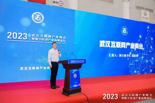 武漢互聯(lián)網(wǎng)產(chǎn)業(yè)峰會(huì)暨數(shù)字經(jīng)濟(jì)產(chǎn)業(yè)高峰論壇圓滿舉行，引領(lǐng)企業(yè)網(wǎng)站創(chuàng)新與變革