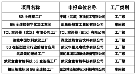 武漢市人民政府門戶網站與武漢企業網站 共建智慧城市生態